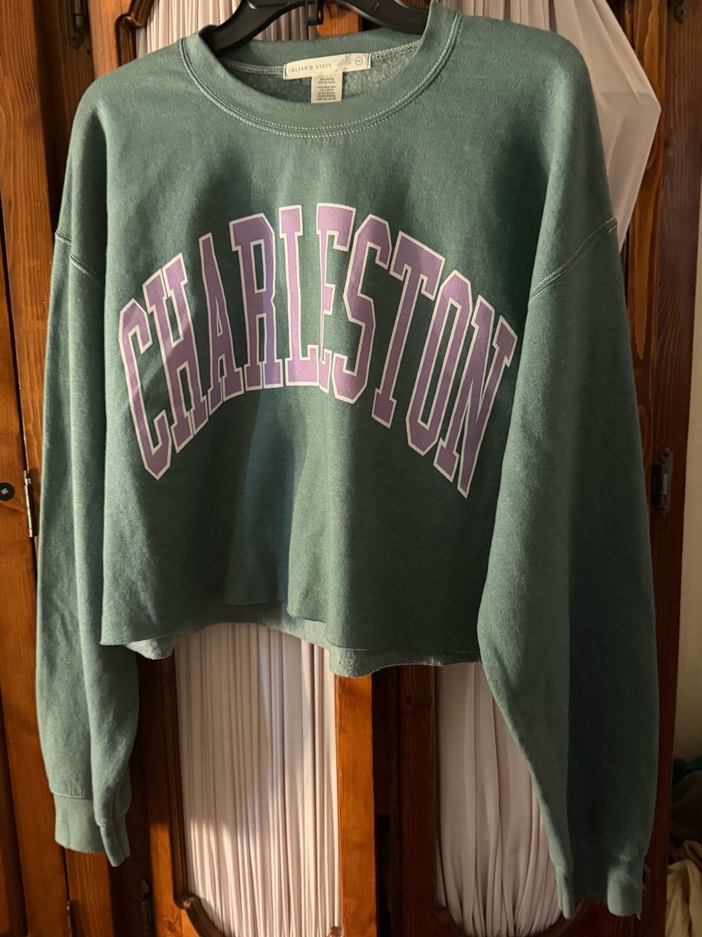 Altar'd State Sage Green Charleston Cropped Sweatshirt with Purple Print